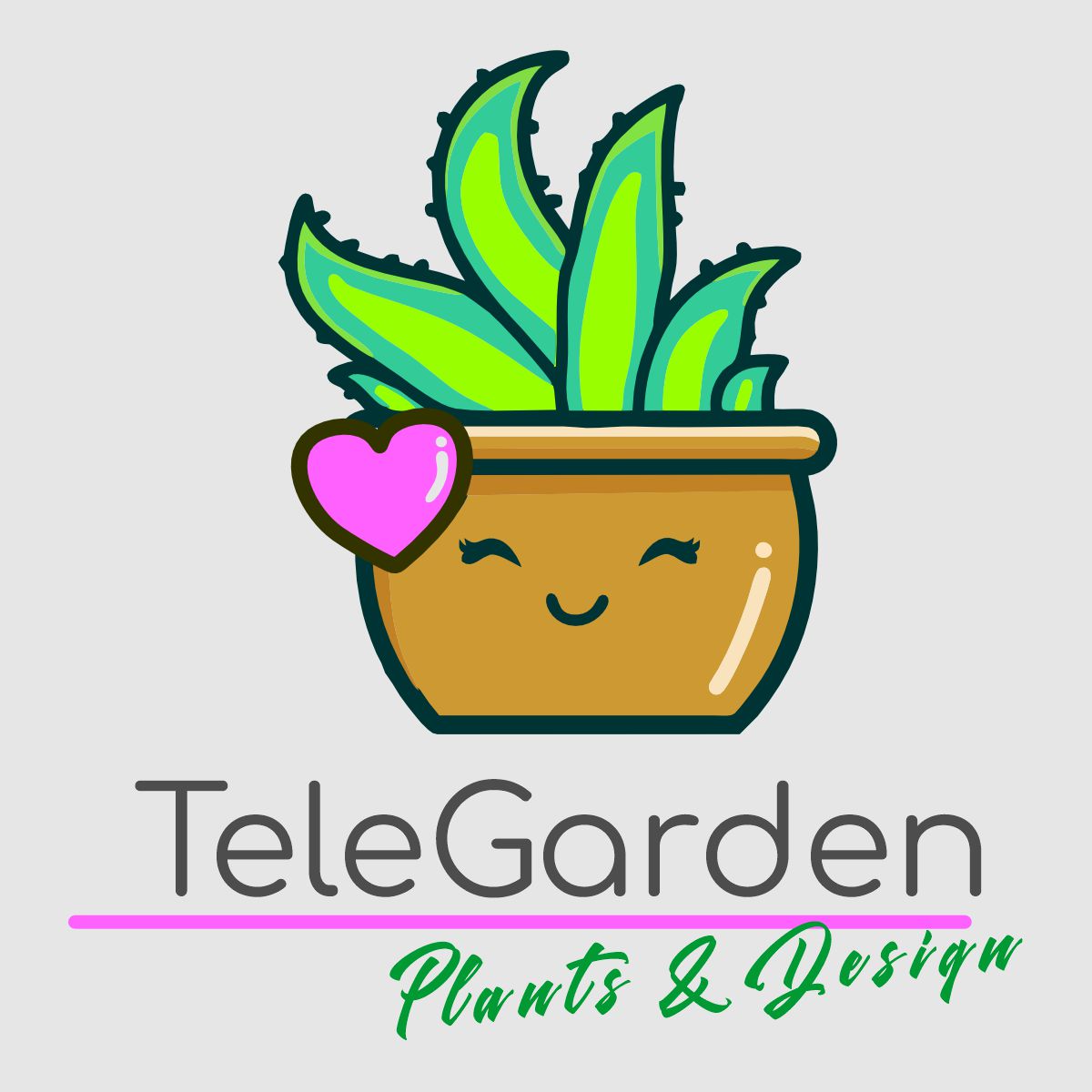 Telegarden Suculentas Panana